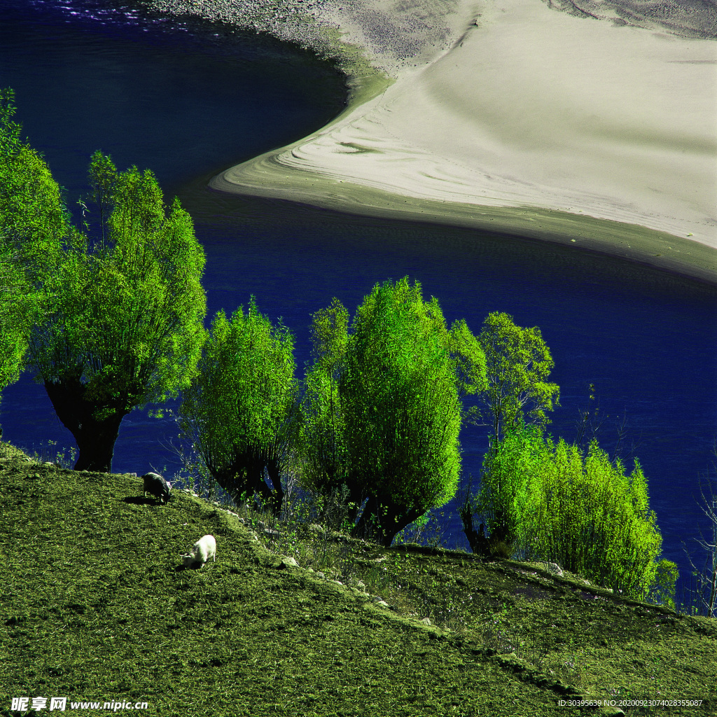 风景