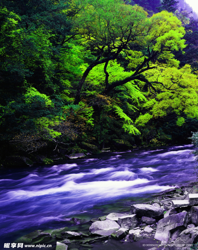 风景