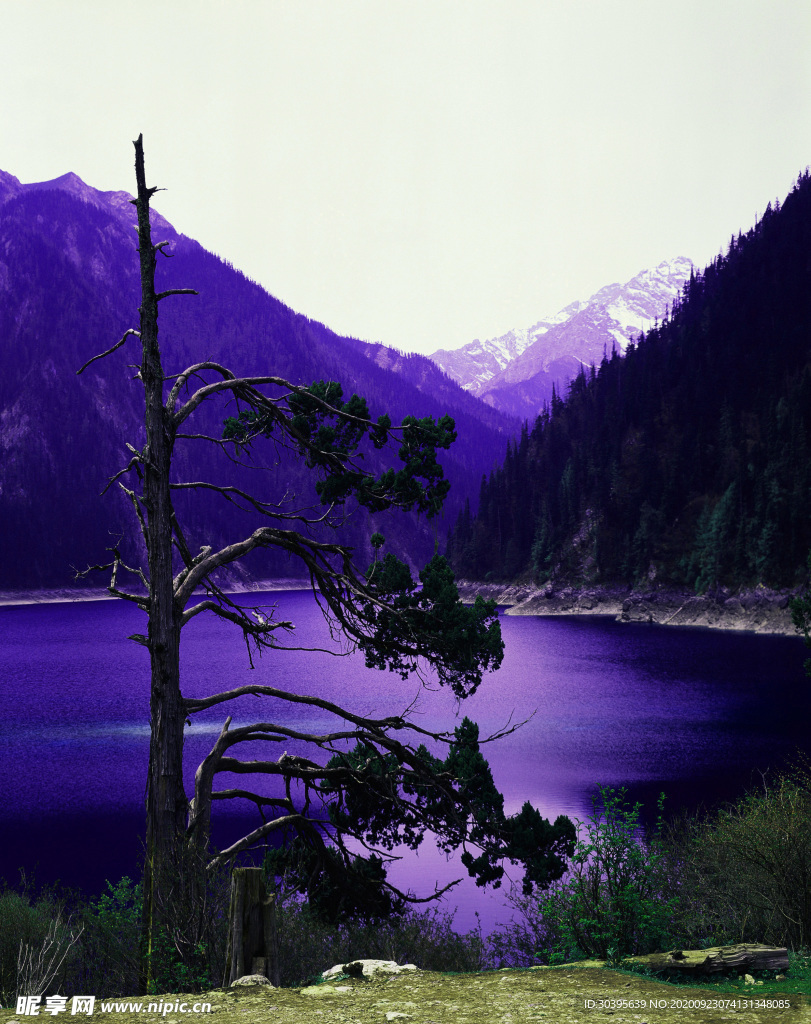 风景