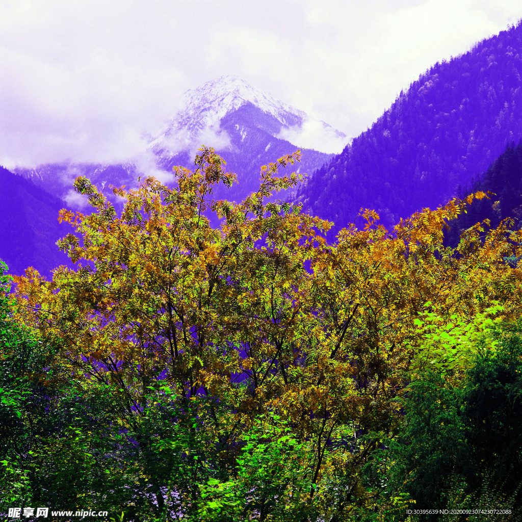 风景