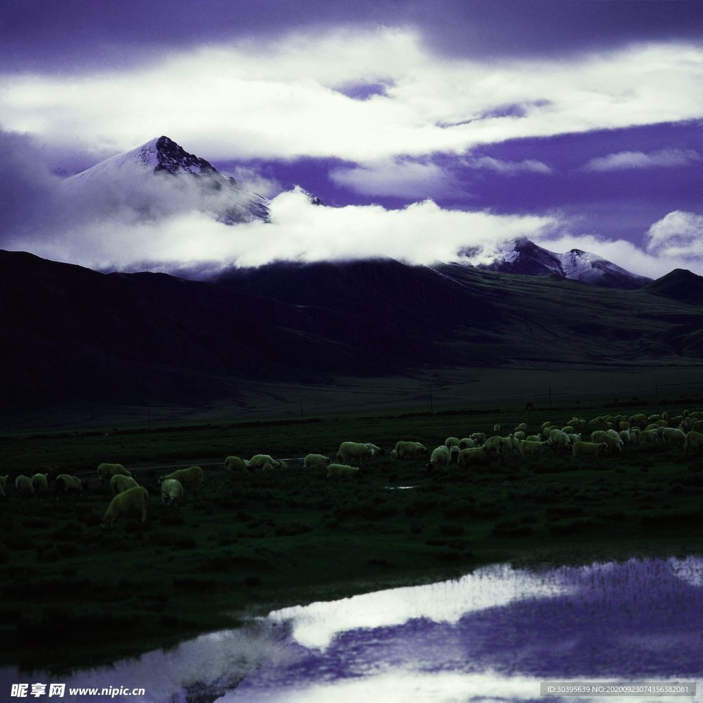风景