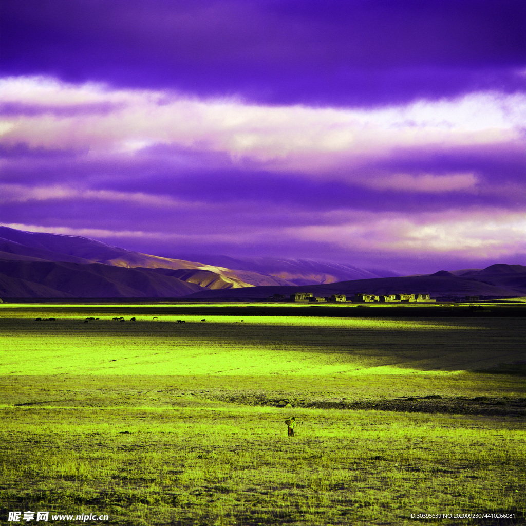 风景