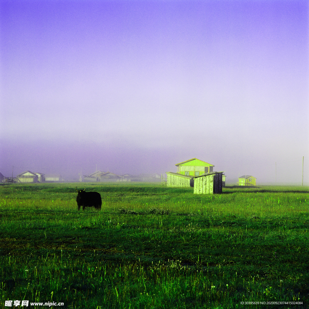 风景