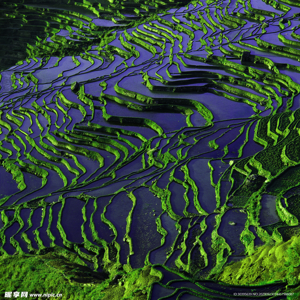 风景