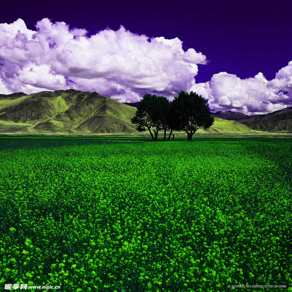 风景