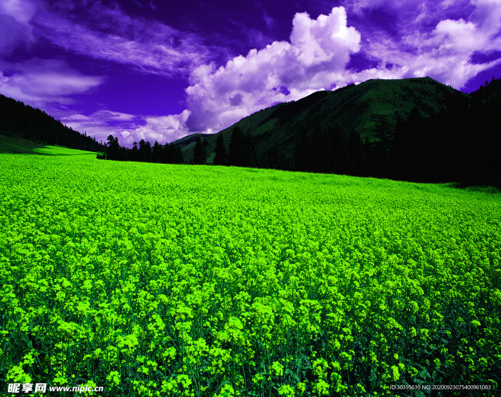 风景