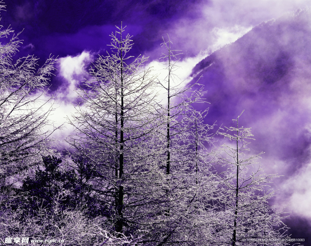 风景