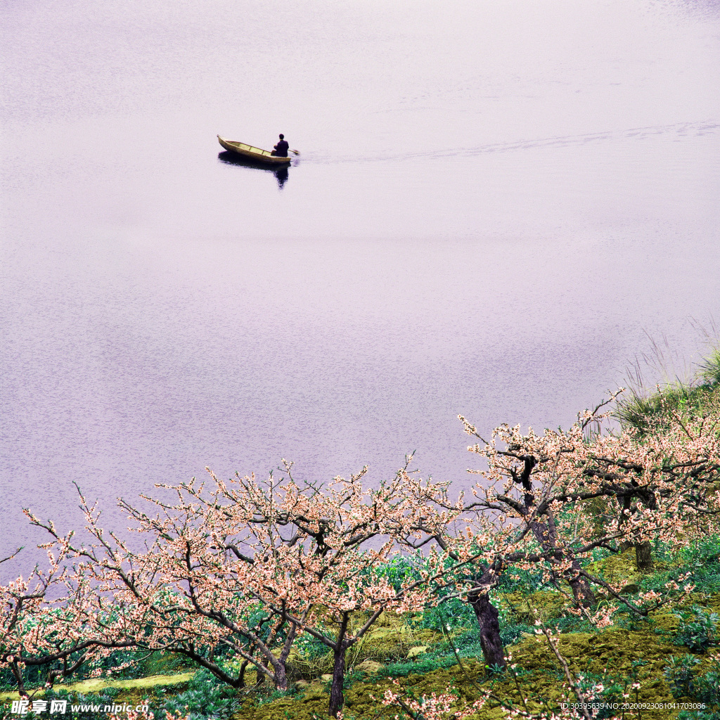 风景