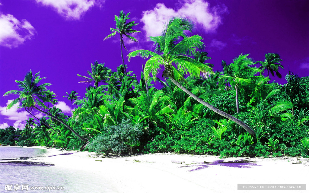 风景