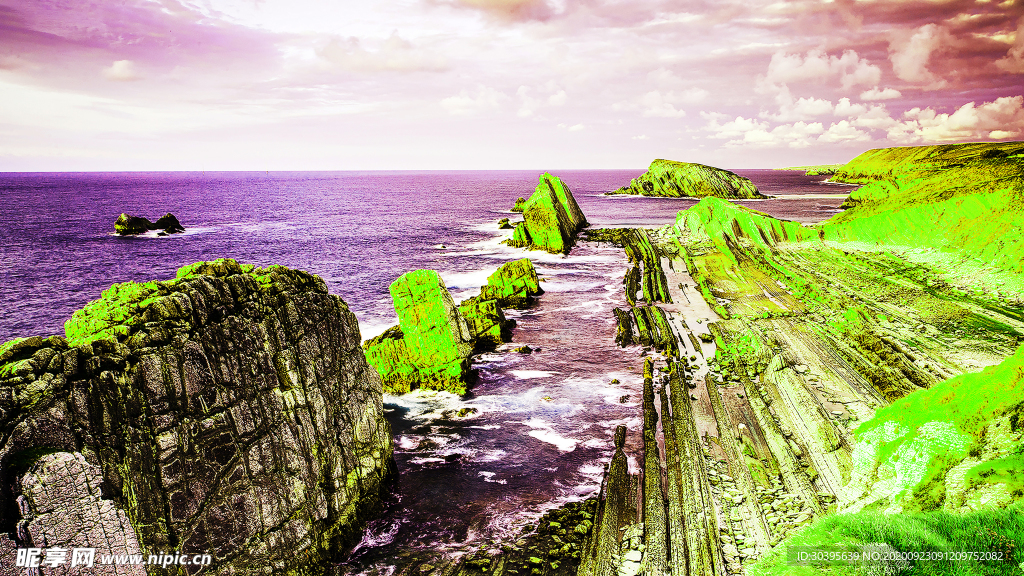风景