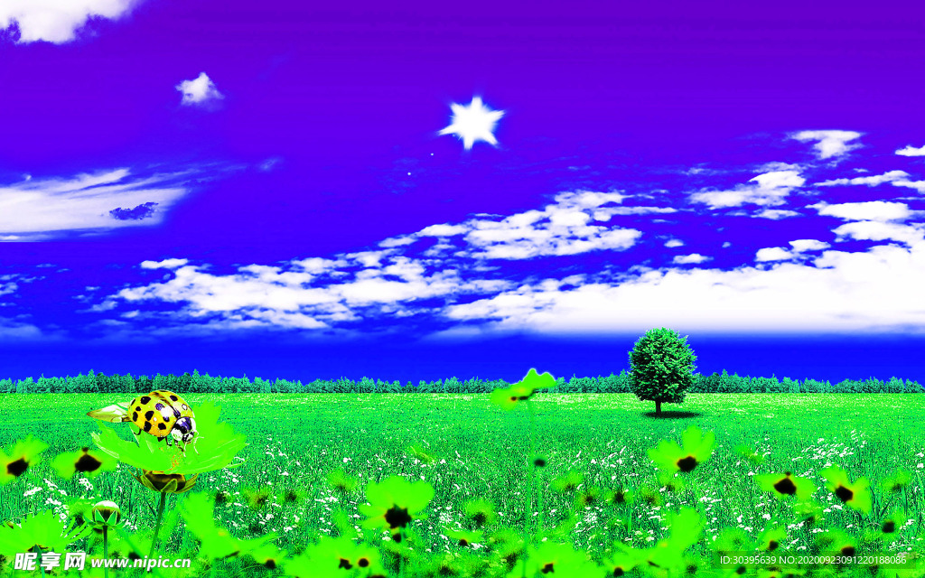 风景