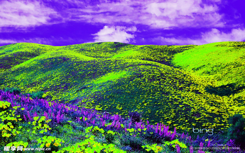 风景