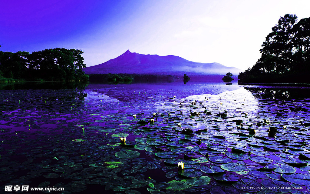 风景