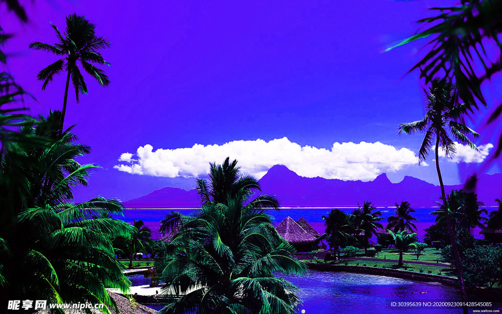风景
