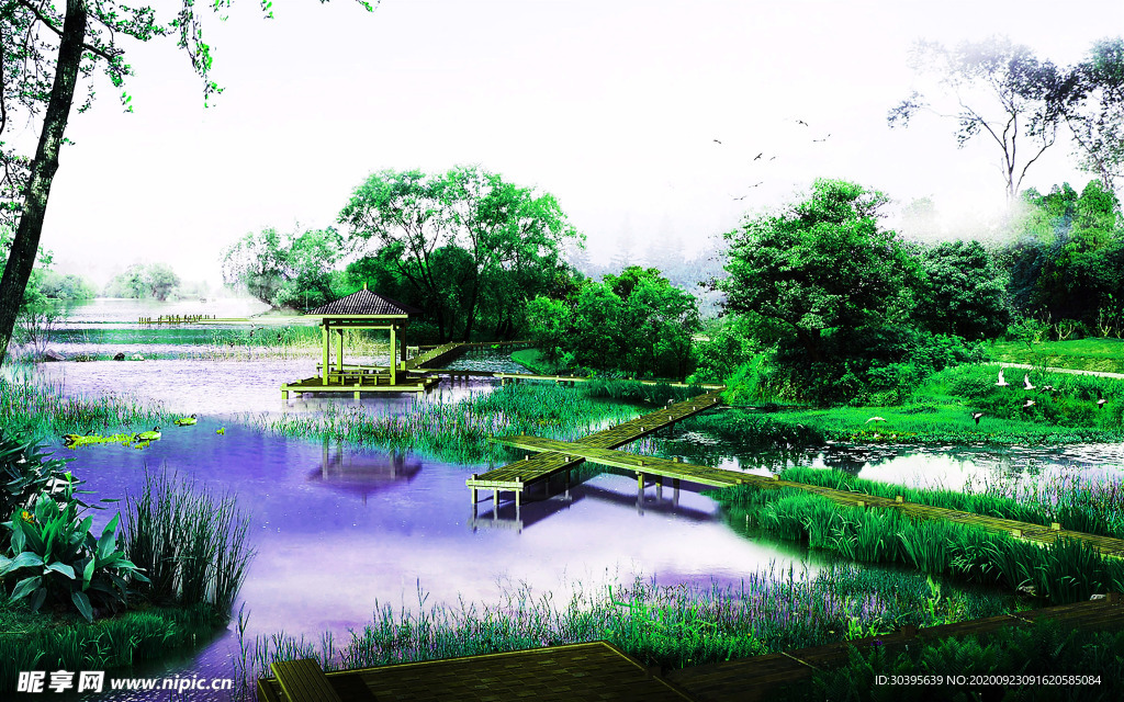 风景