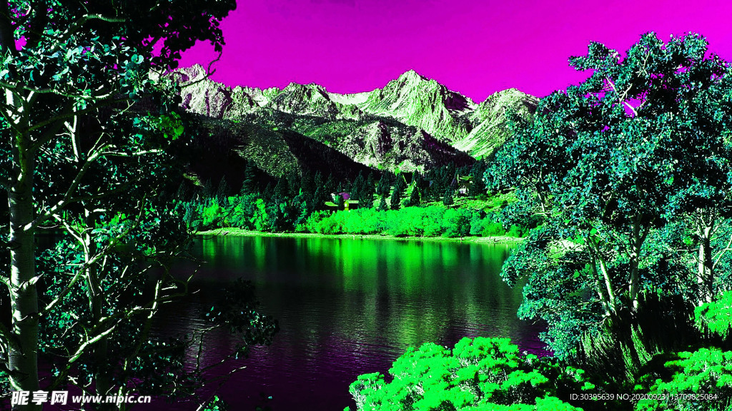 风景