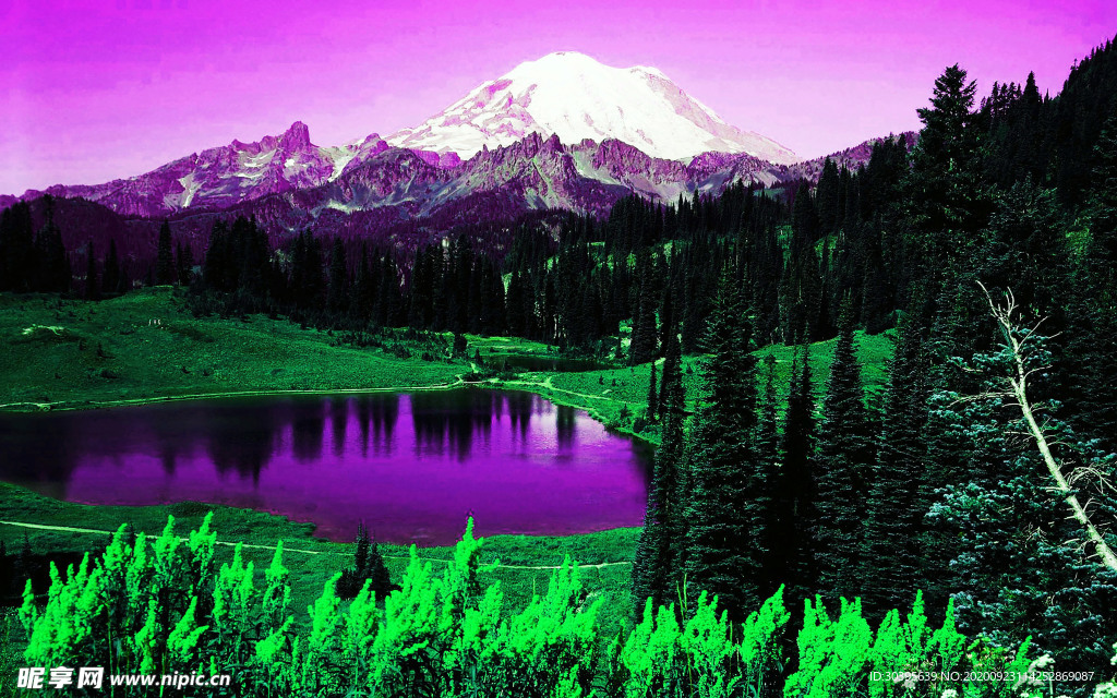 风景