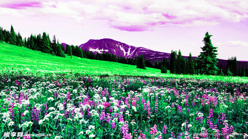 风景