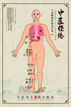 中医经络示意展板