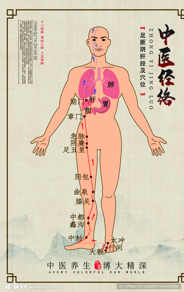 中医经络示意展板