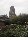 塔