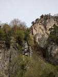 山