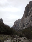 山