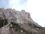 山