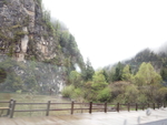 风景