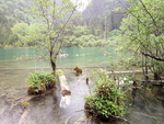 九寨沟风景