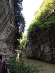 山