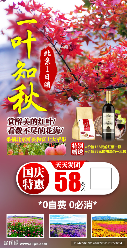红叶