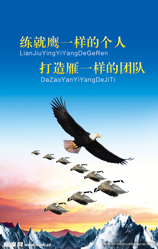 打造鹰一样的团队
