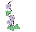 喇叭花 矢量喇叭花
