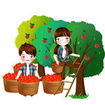 苹果树插画