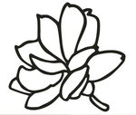 深圳静待花开教育科技有限公司