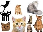 猫png免扣高清素材