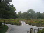 公园石路