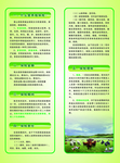 保险 折页