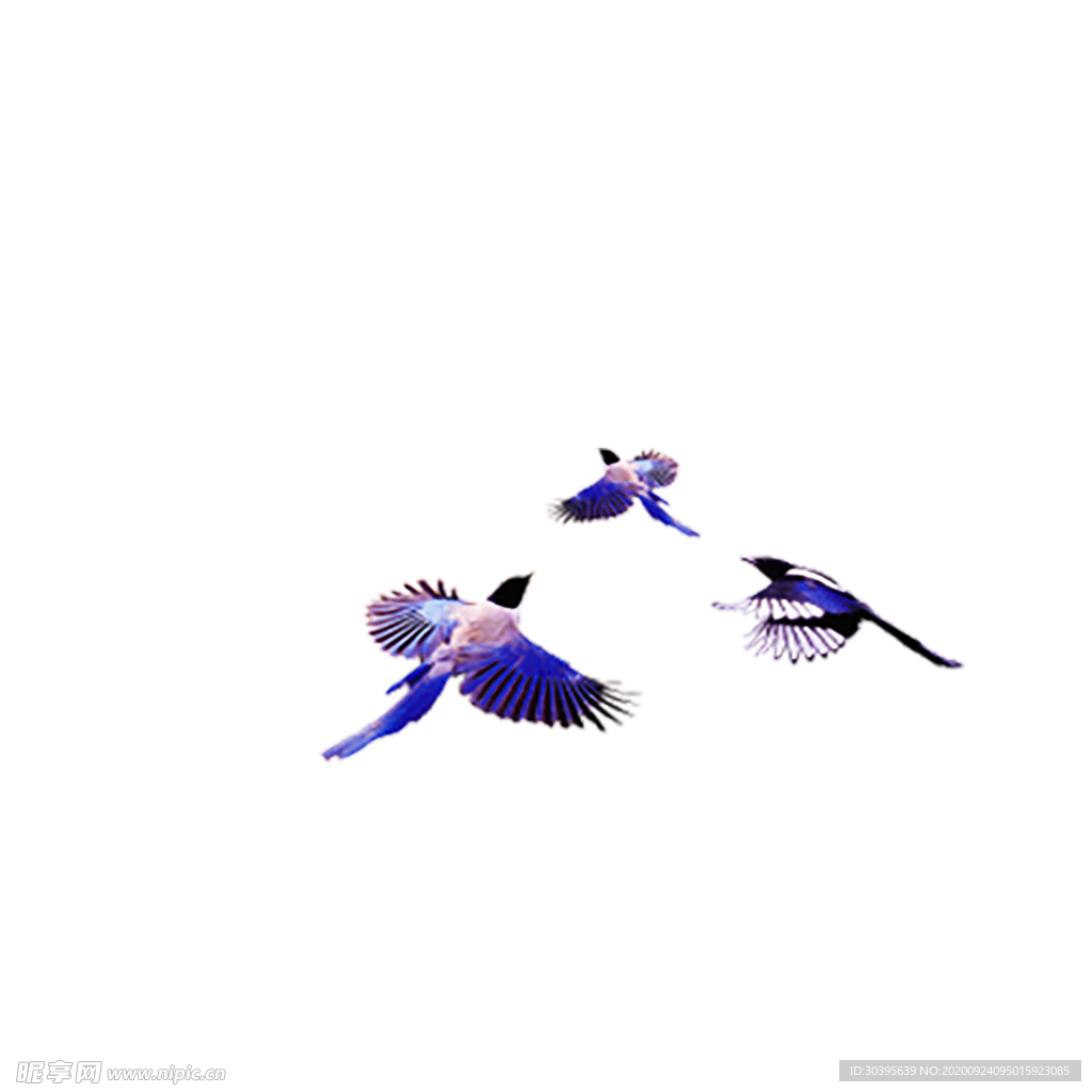 浪漫素材