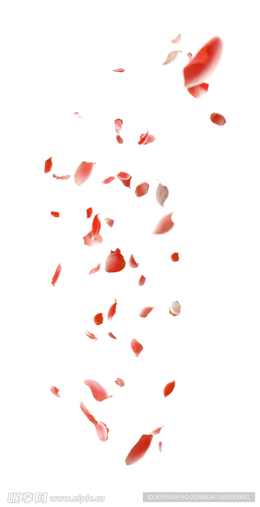 浪漫素材