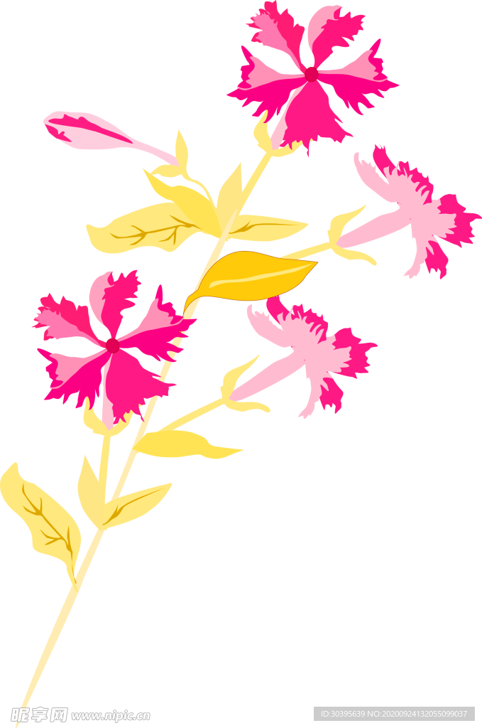 浪漫素材
