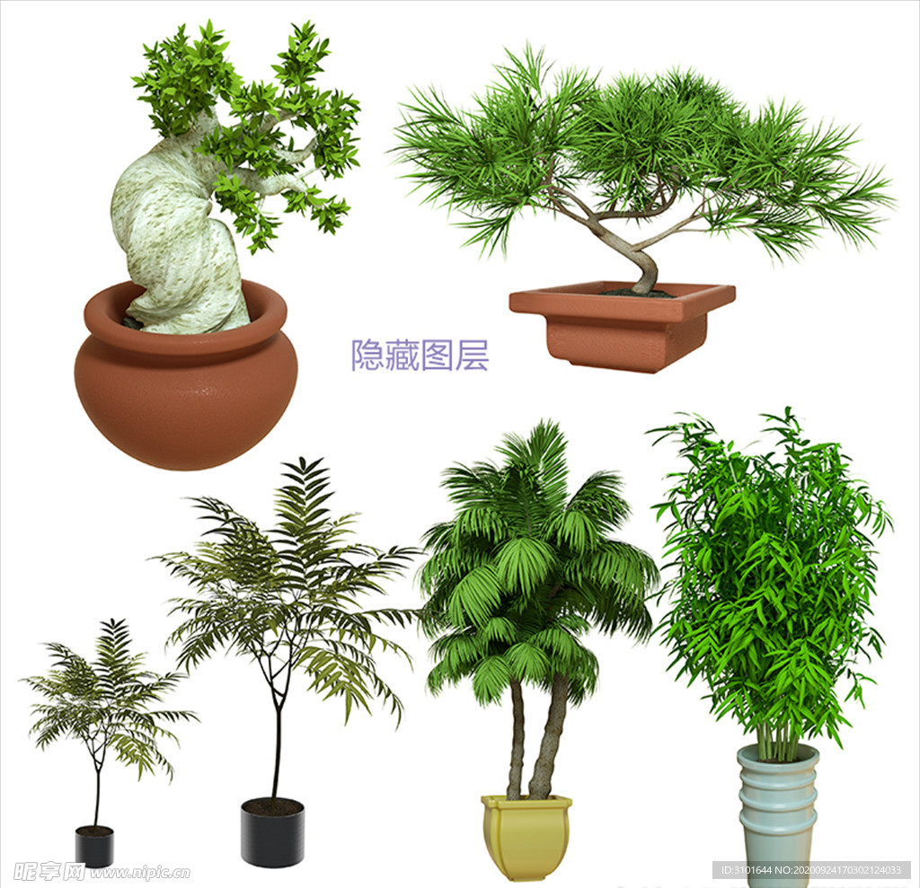 3D植物盆栽