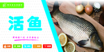 活鱼