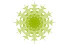 花纹