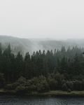 森林