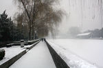 故宫 雪景 紫禁城 皇帝 冬天