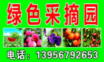 采摘园