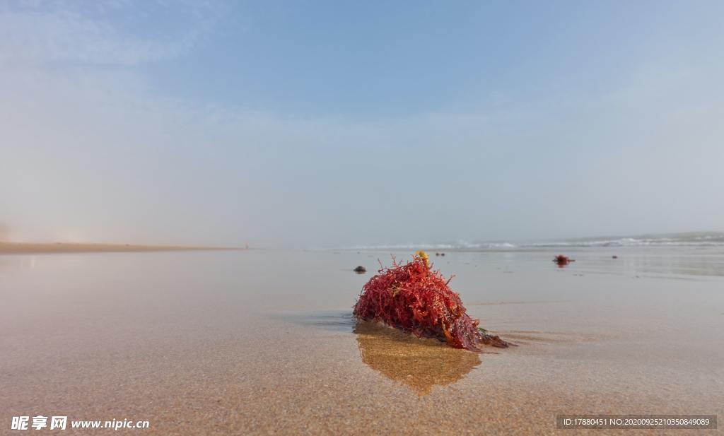 海边