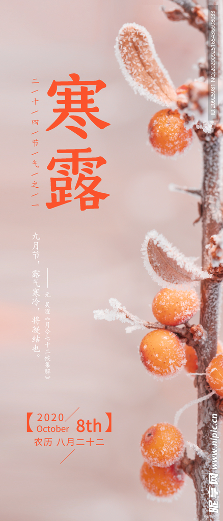寒露2